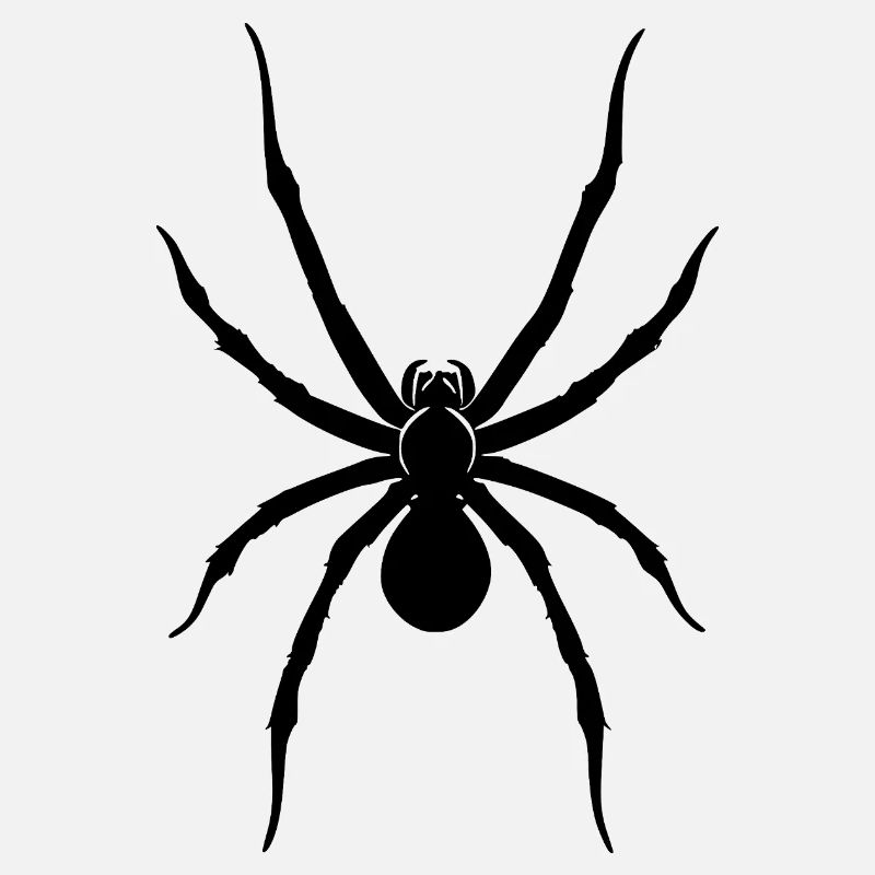 Araignée