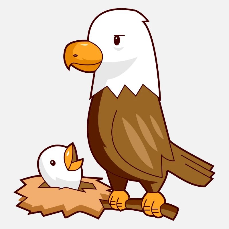 Nid d'aigle aigle bébé