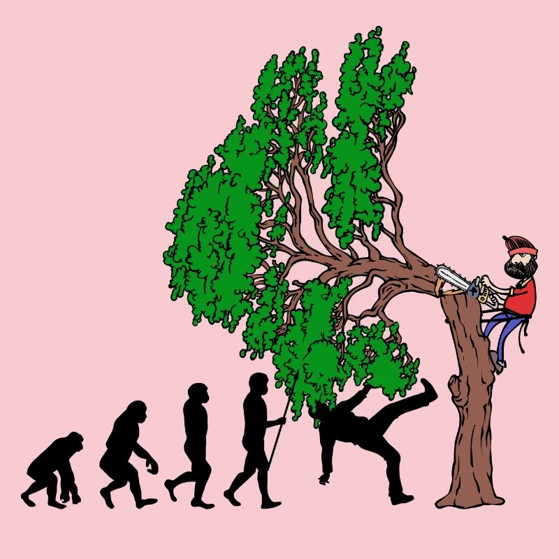 Tree Evolution Bois Bûcheron Forêt de bûcherons