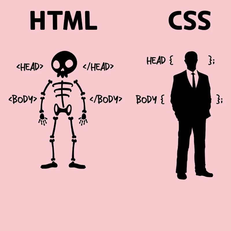 Developer Programmer Coden Css Scripting Code