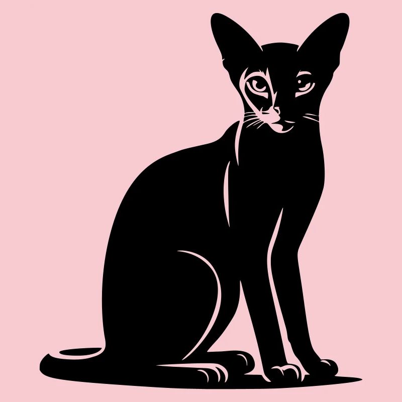 Abessiner Katze