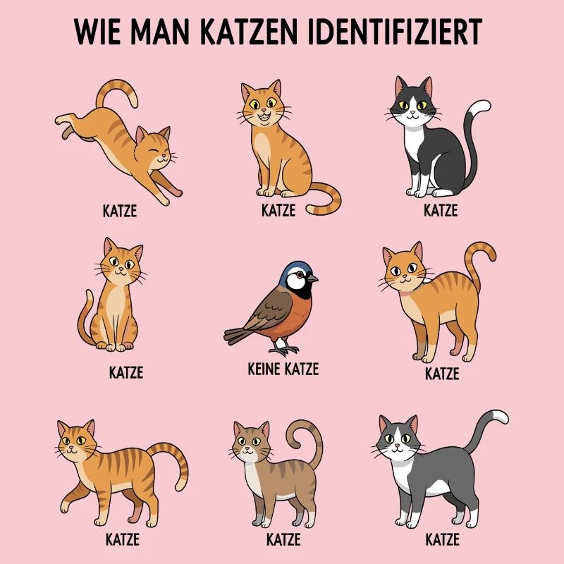 Guide d’identification des chats