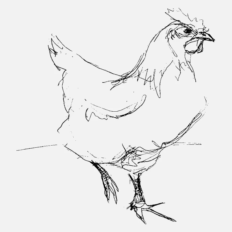 Chicken