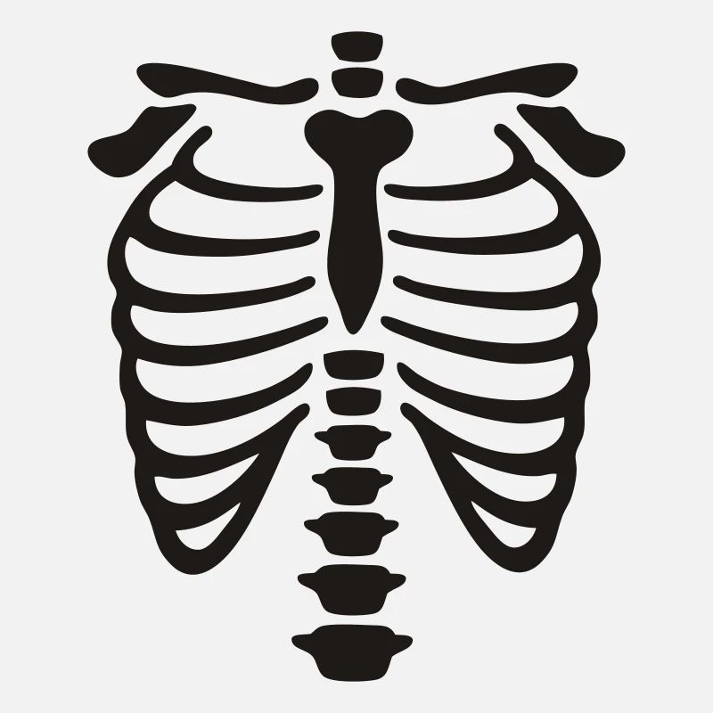 xray_vector