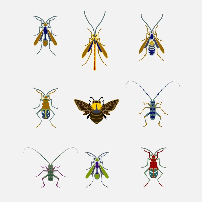 insects mosquitoes bee sting overview fly bug