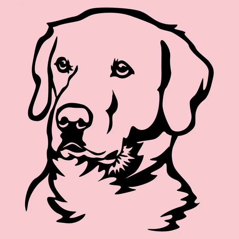 Labrador Head