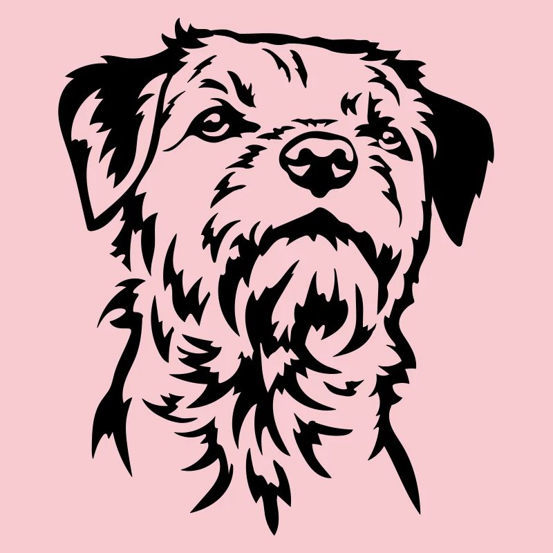 Border Terrier Head