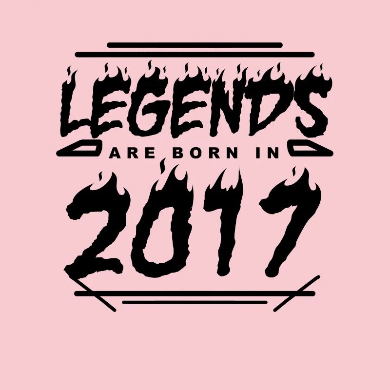 2017 - Année de construction 2017 - Année de construction 2017