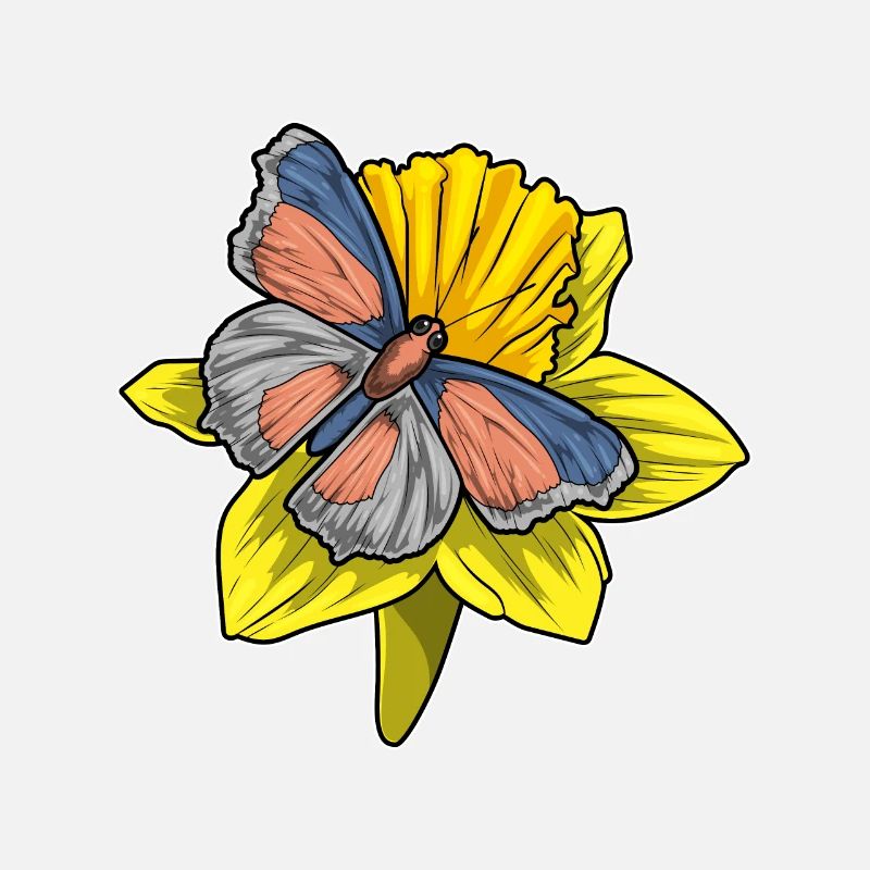 Jonquille papillon