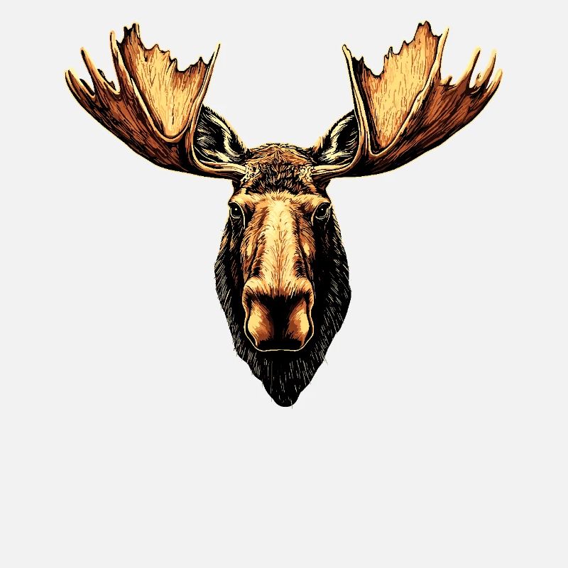 Elch Moose Elchbulle Geweih Hirsch Wilde Elche