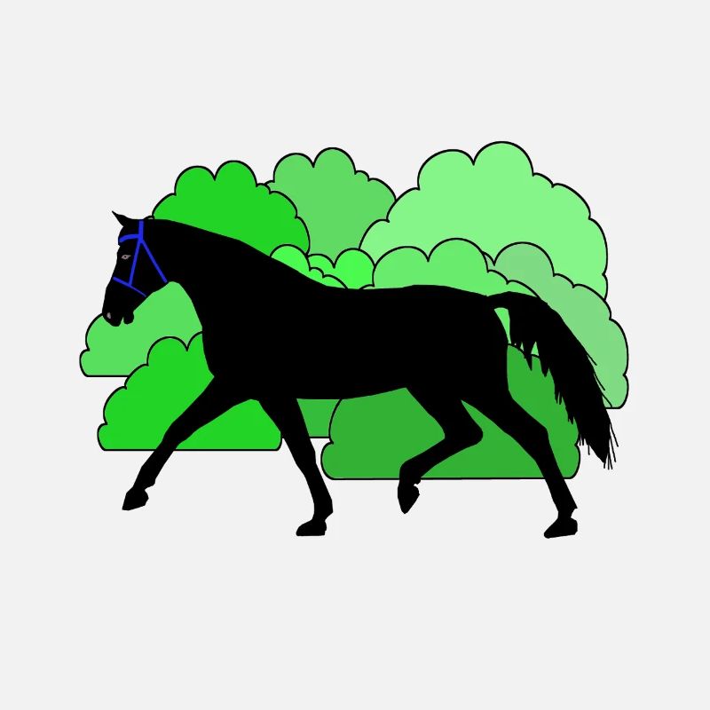 Pferd Pferde Rappe