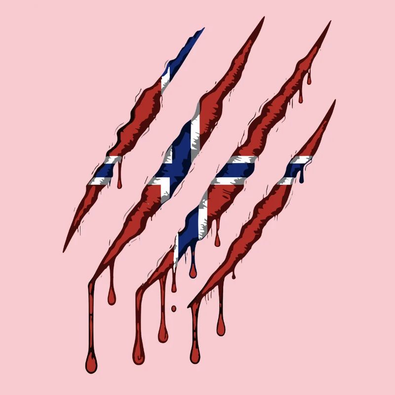 Norway Claw Norge Drapeau Scratch Mark