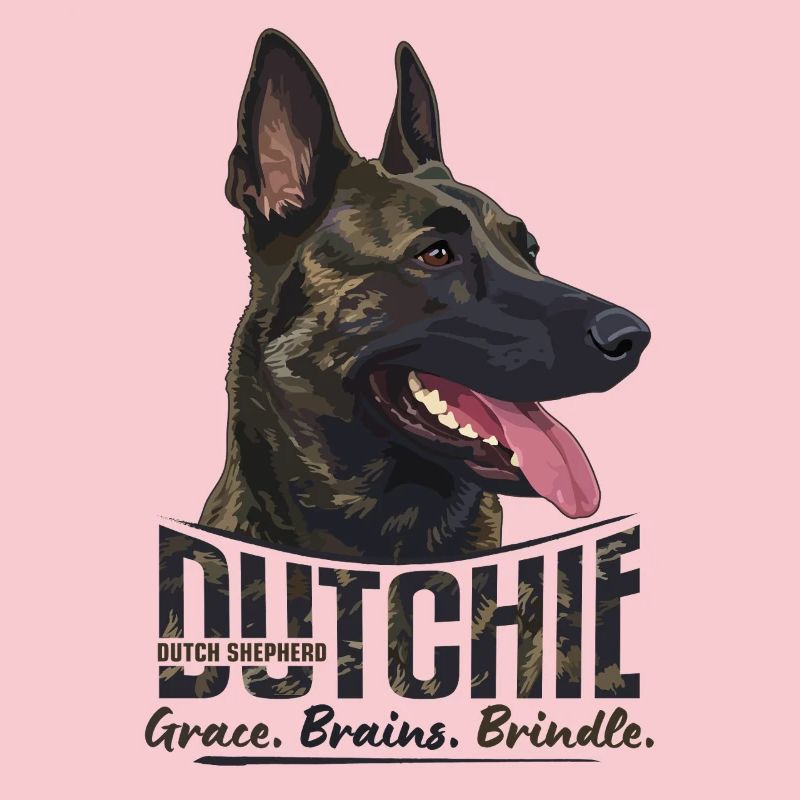 Dutchie - Holländischer Schäferhund