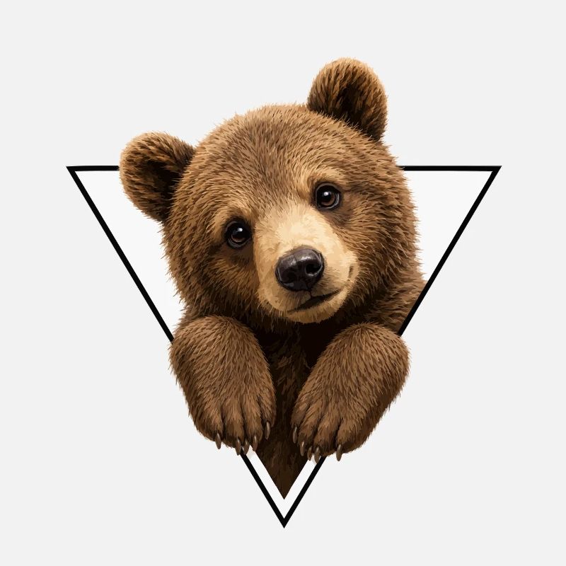 Bear cub in triangle