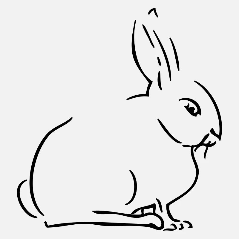 Hase