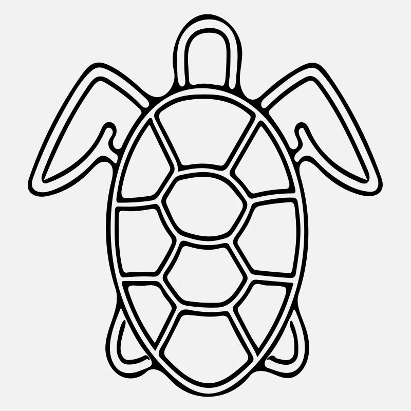 Vector Turtle