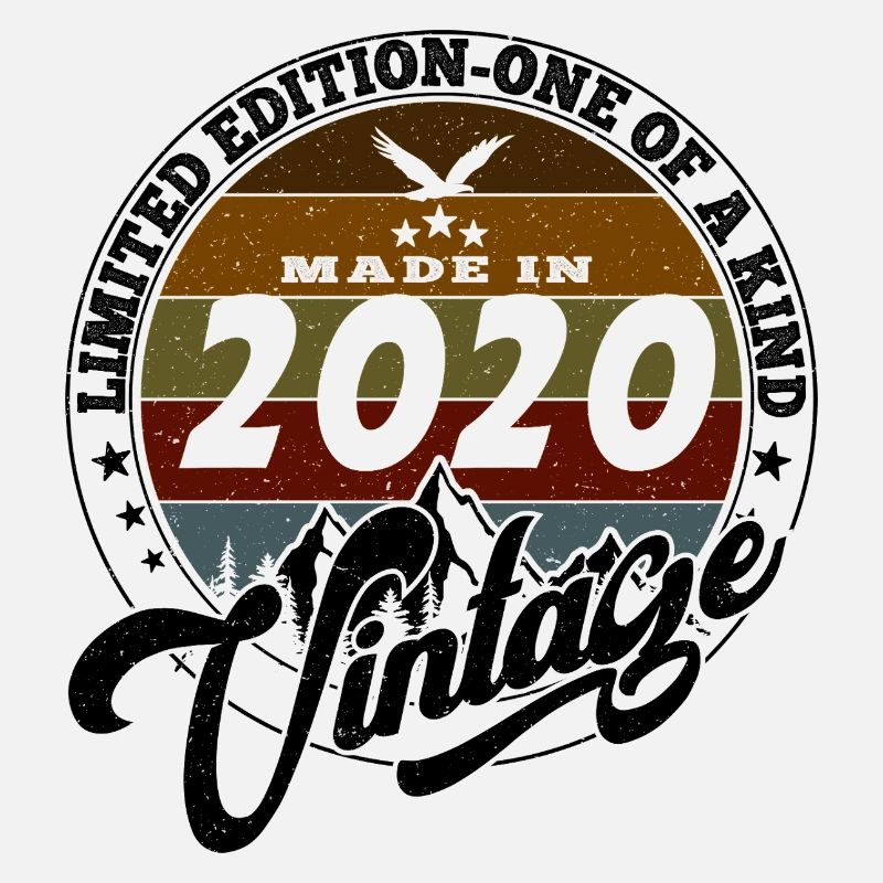 Vintage élégant : 2020 Cadeau rétro 2020 2025