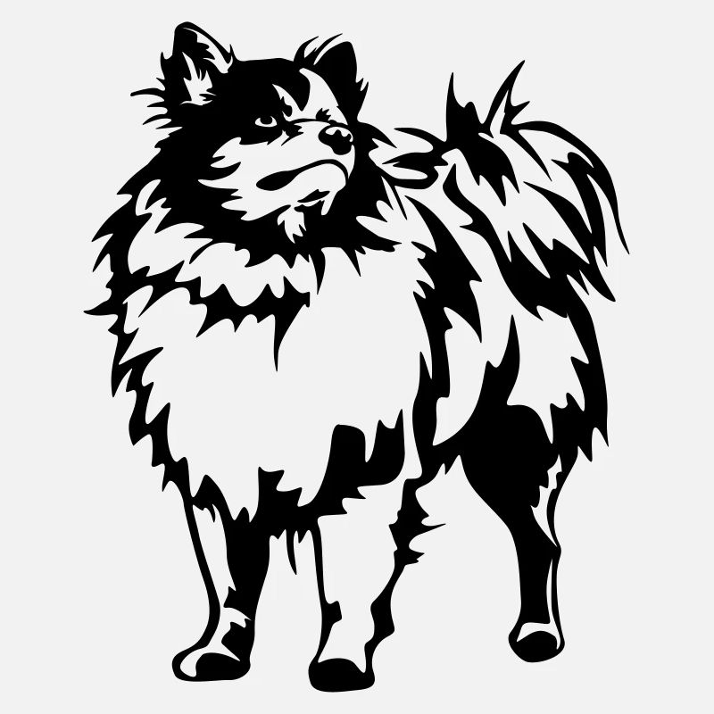 Spitz