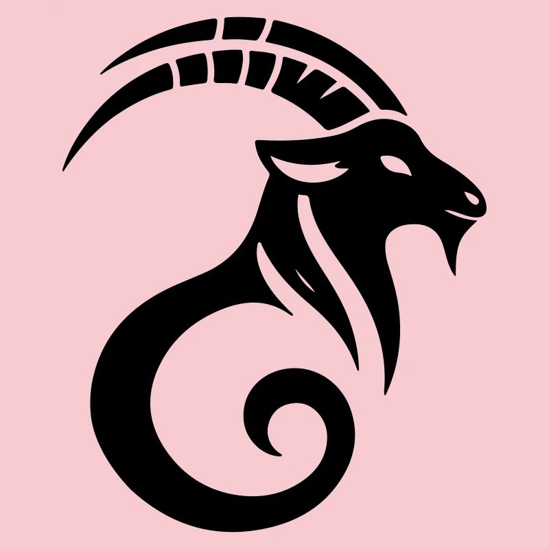 Capricorne 2