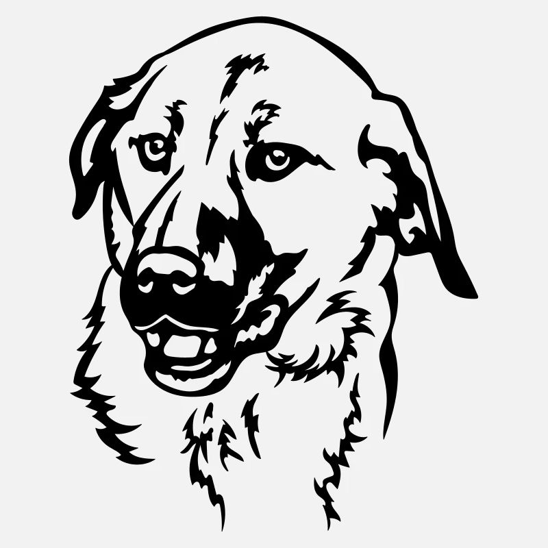 Kangal Head