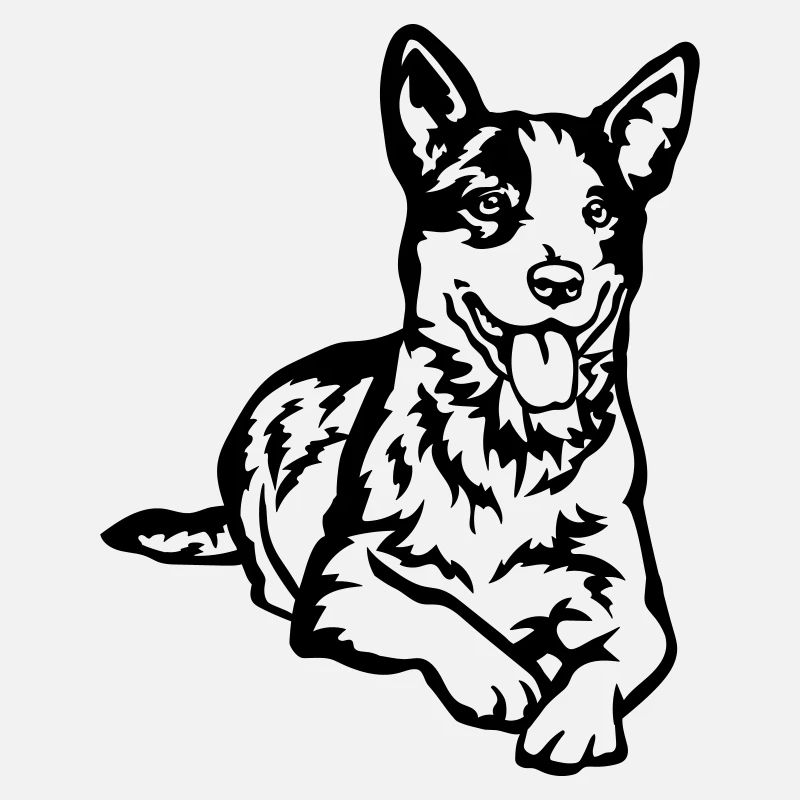 Australian Cattle Dog