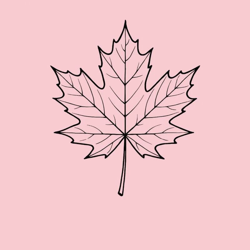 Maple Leaf Line Design