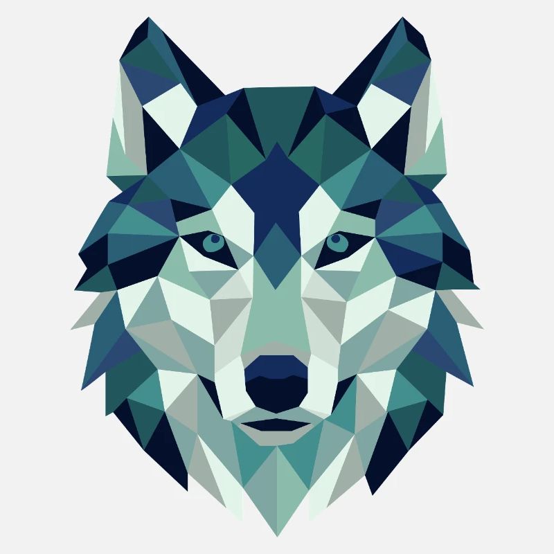 Géométrie des polygones Wolf Head