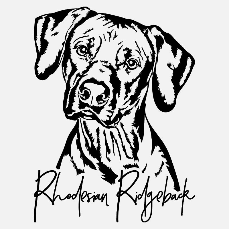 RHODESIAN RIDGEBACK Hunde Portrait Wilsigns