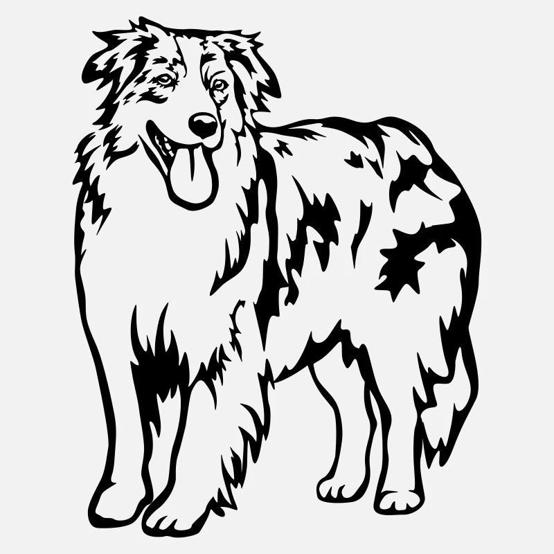 Australian Shepherd