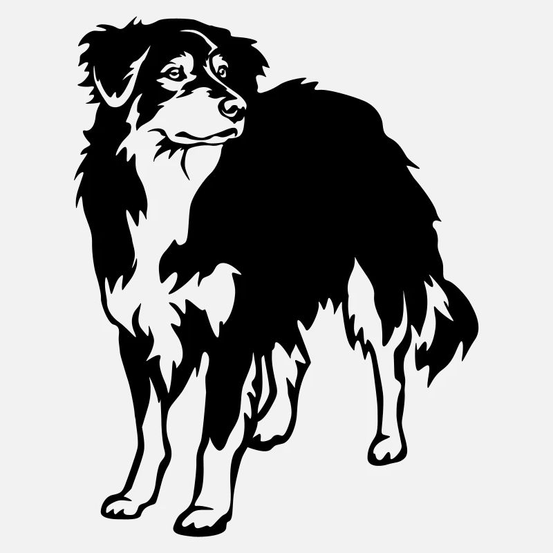 Australian Shepherd