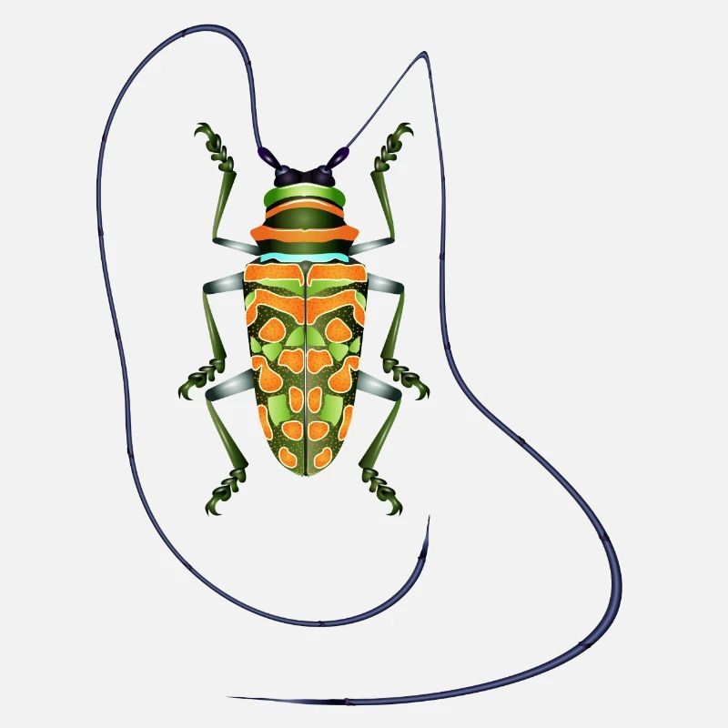 Sternotomis pulchra, espèce de coléoptère, insecte, orange, vert