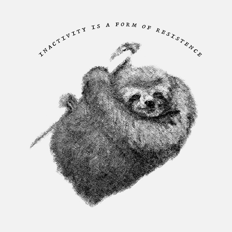 Faultier_Sloth