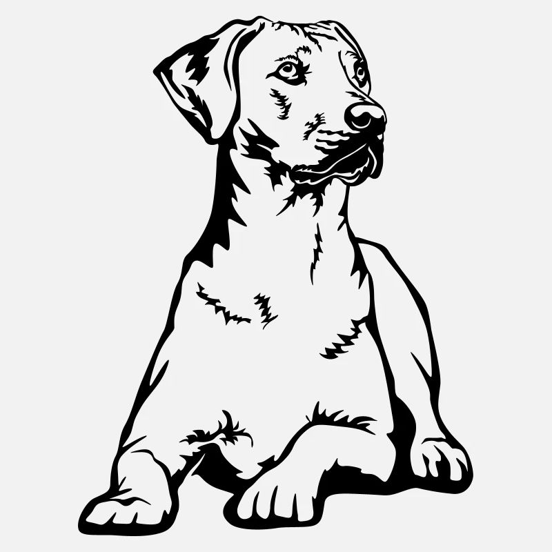 Rhodesian Ridgeback