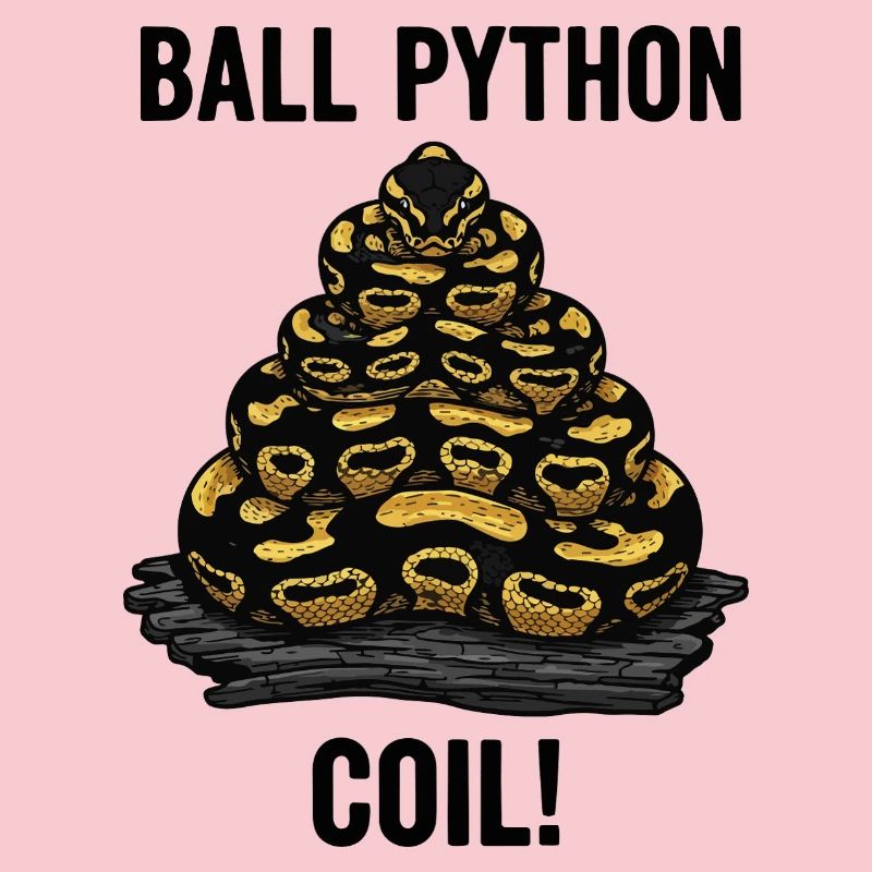 Royal Python Ball Python Coil Reptilienpyramide