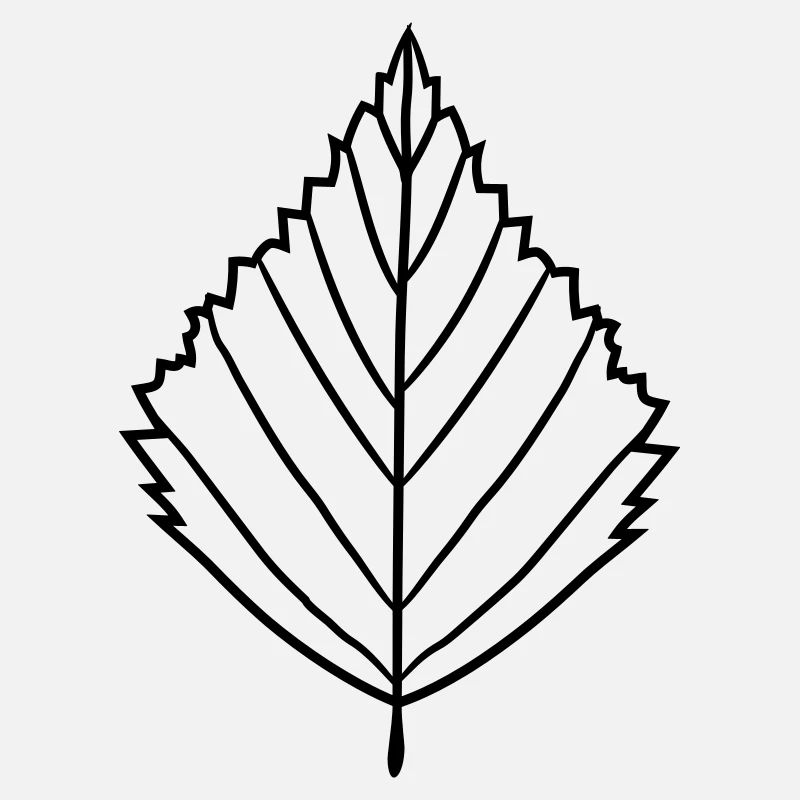 silhouette birch leaf tree plant shape clip art desig