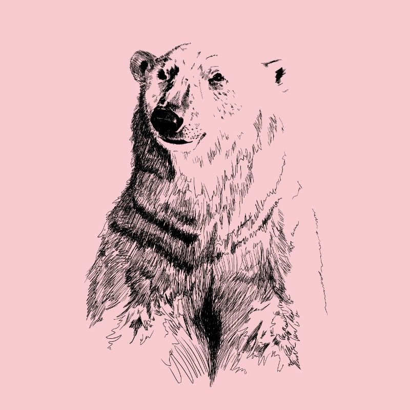 eisbaer
