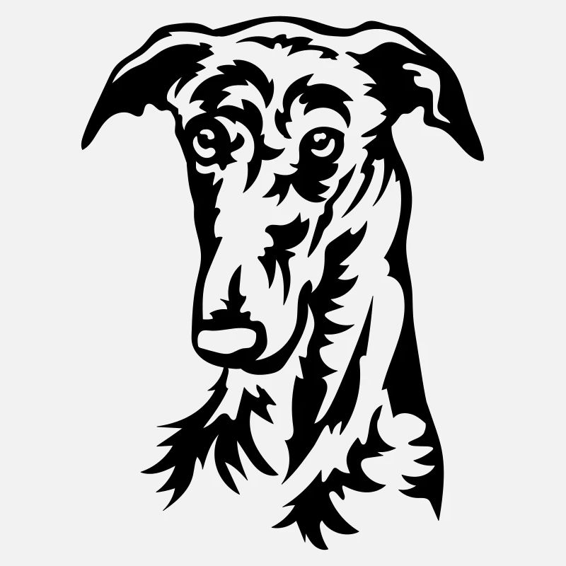 Galgo Kopf