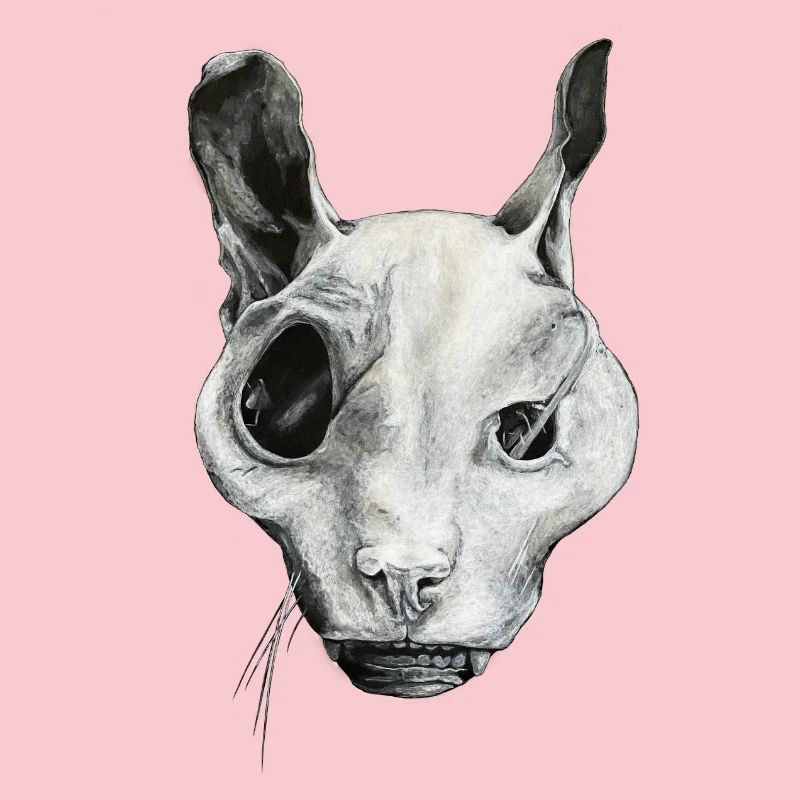 THE GHOST CAT