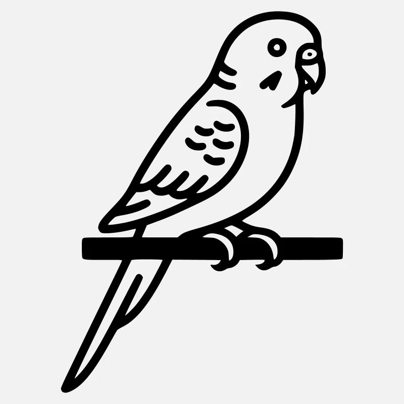 Perruche Animal de compagnie