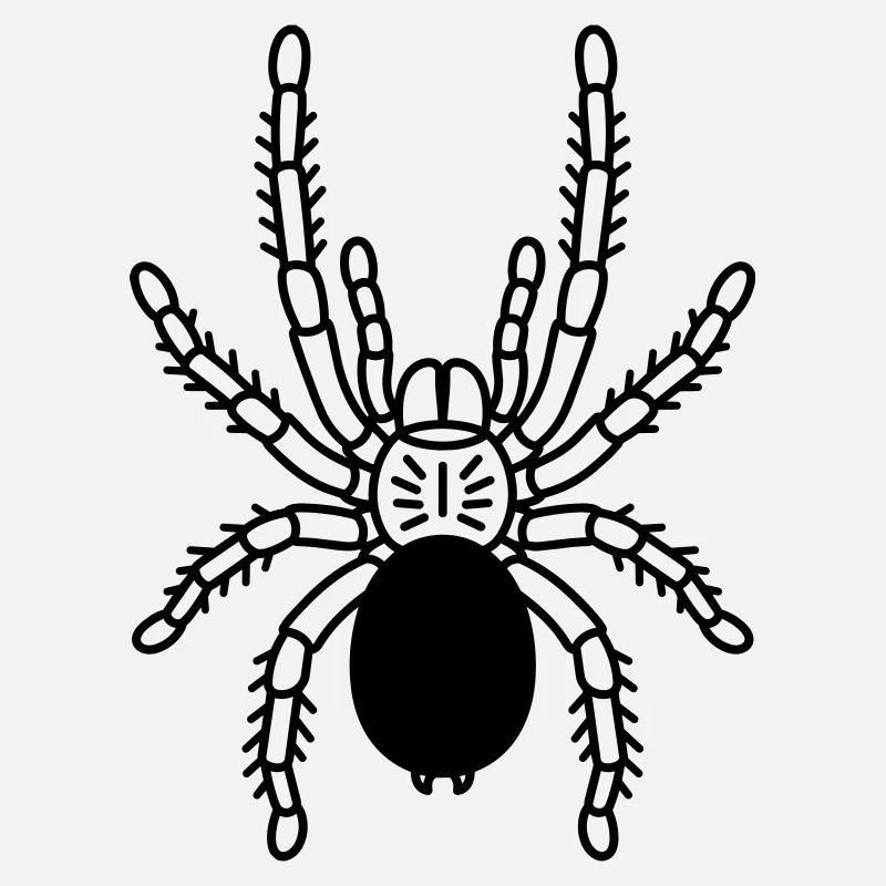 Tarentule Tarentule