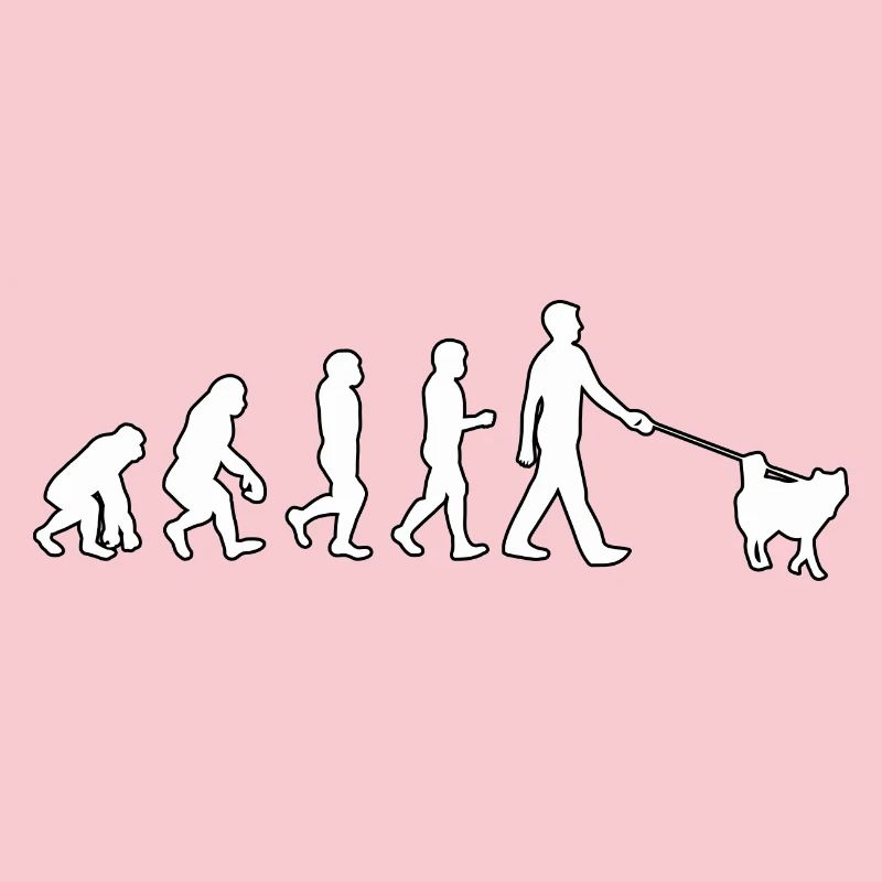 Évolution du husky