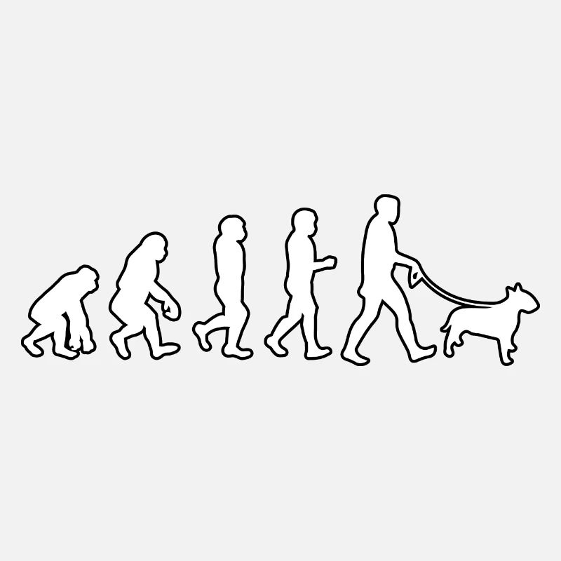 EVOLUTION Labrador