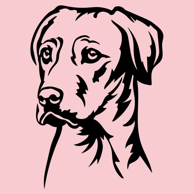 Rhodesian Ridgeback Head