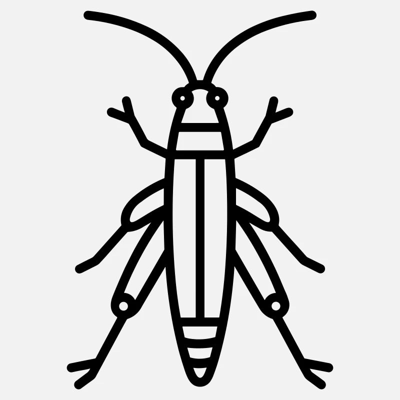 grasshopper