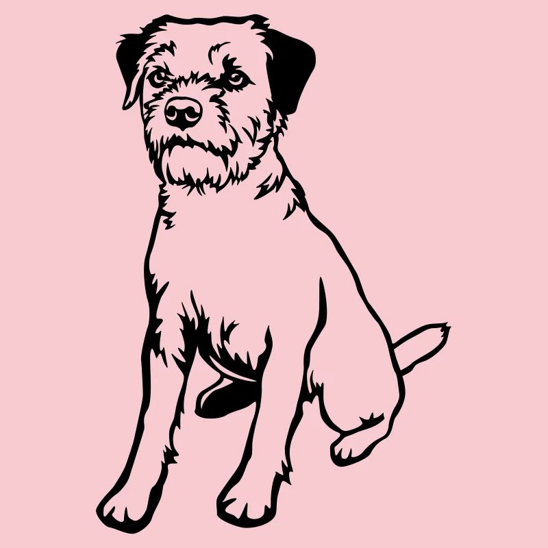 Border Terrier