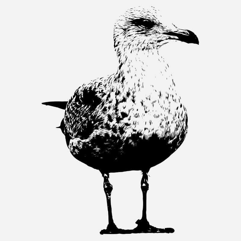 Gull