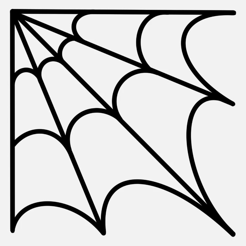 Spinnennetz