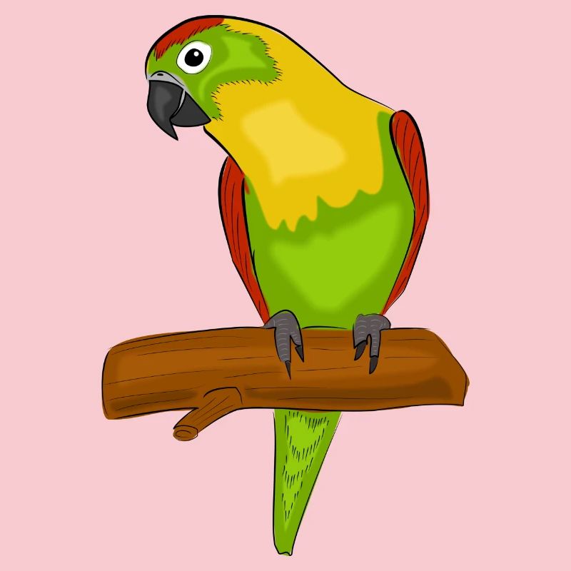 parrot