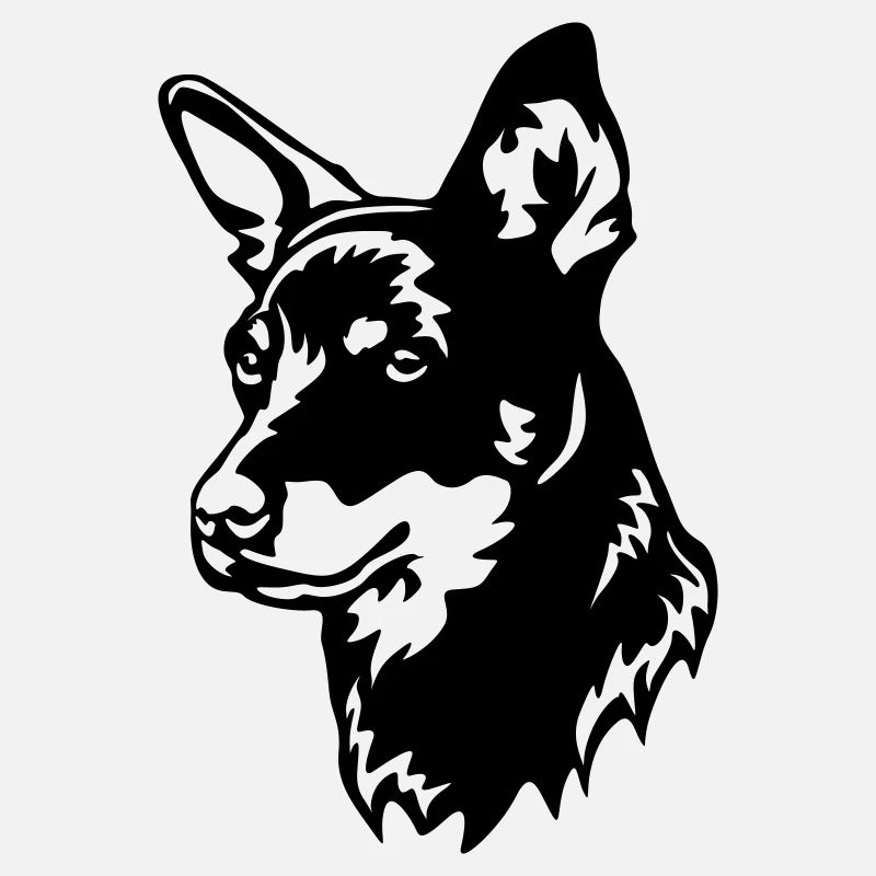 Lancashire Heeler Kopf