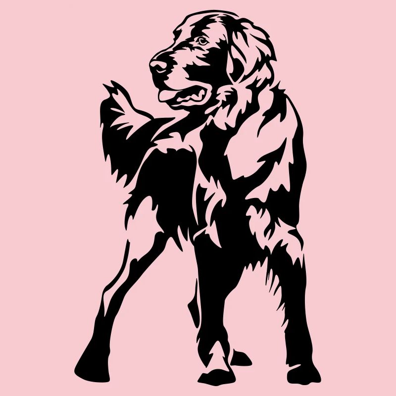 Flat-coated retriever